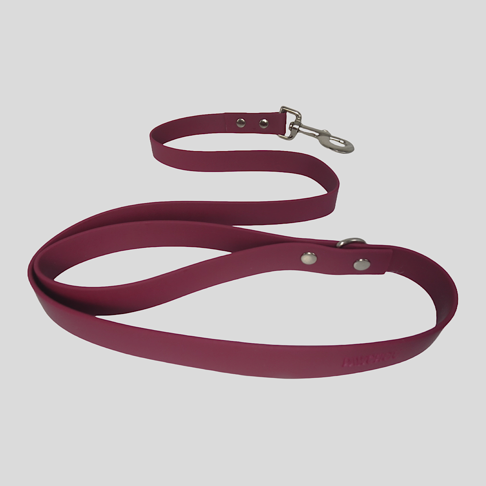 Cranberry Crush Waterproof Biothane Dog Lead
