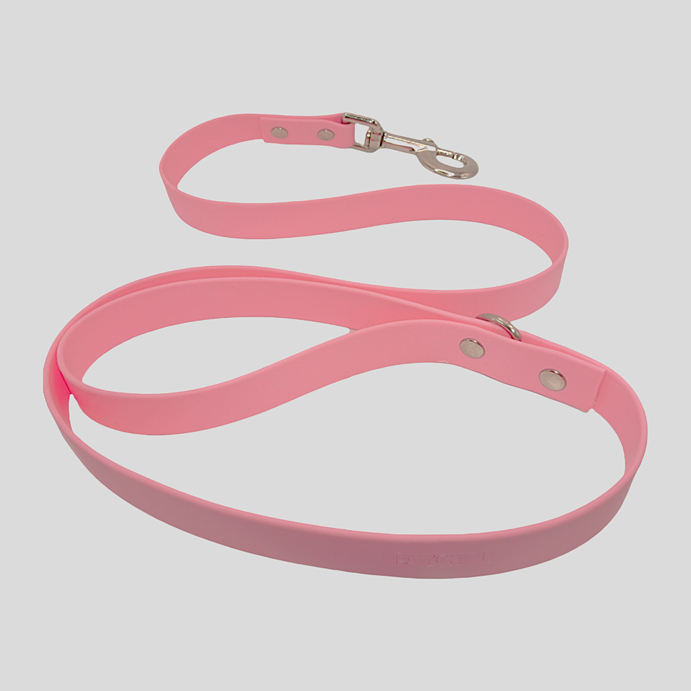 Sweet Watermelon Waterproof Dog Lead