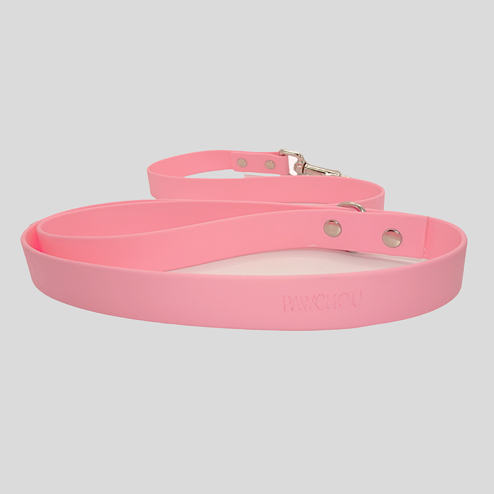 Sweet Watermelon Waterproof Dog Lead