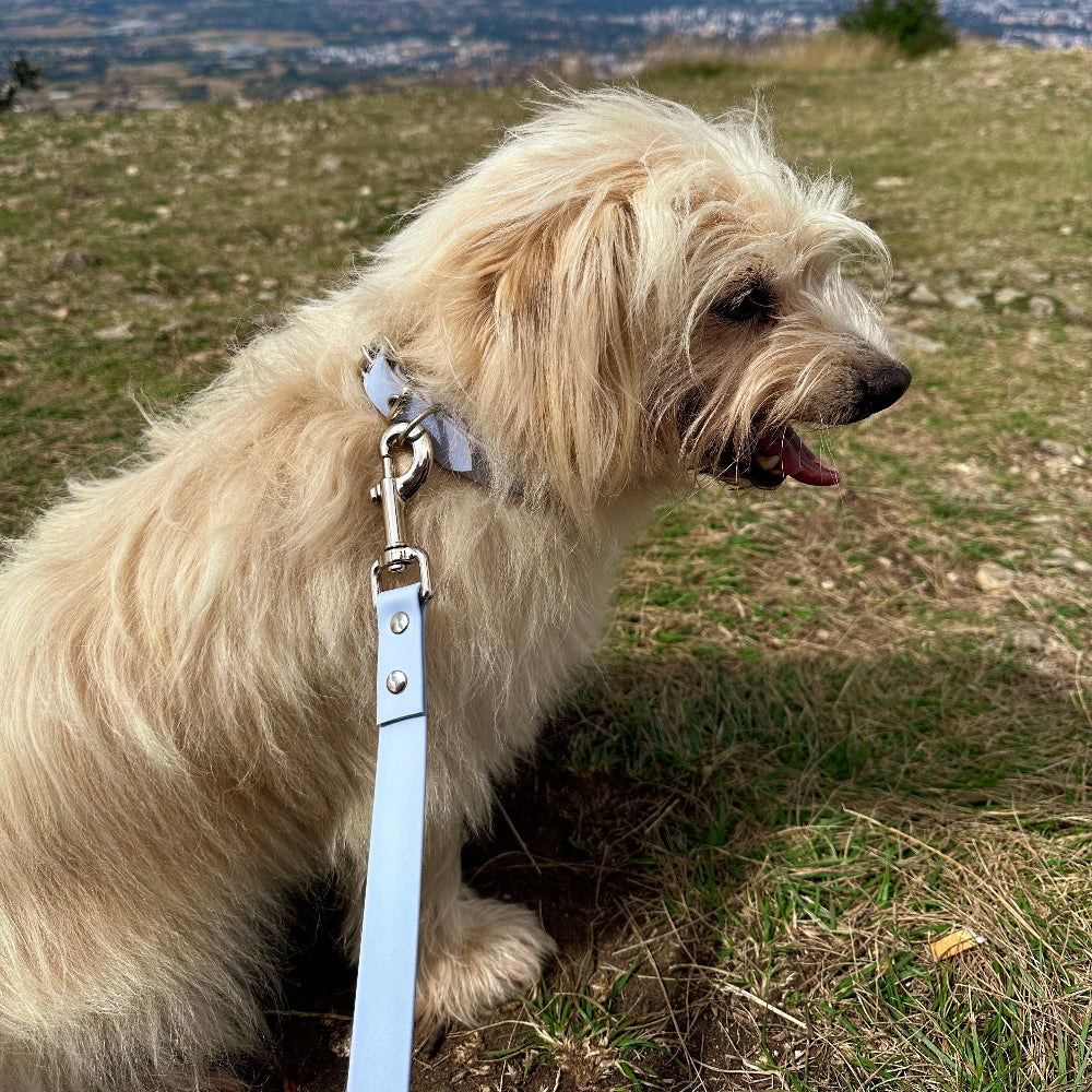 Drew Breeze Waterproof Dog Lead