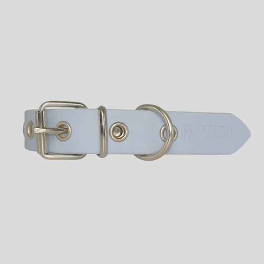 blue dog collar