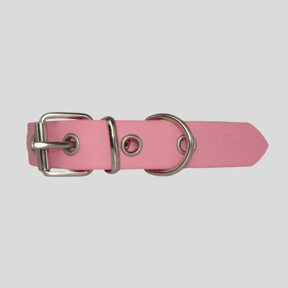 Sweet Watermelon Waterproof Dog Collar
