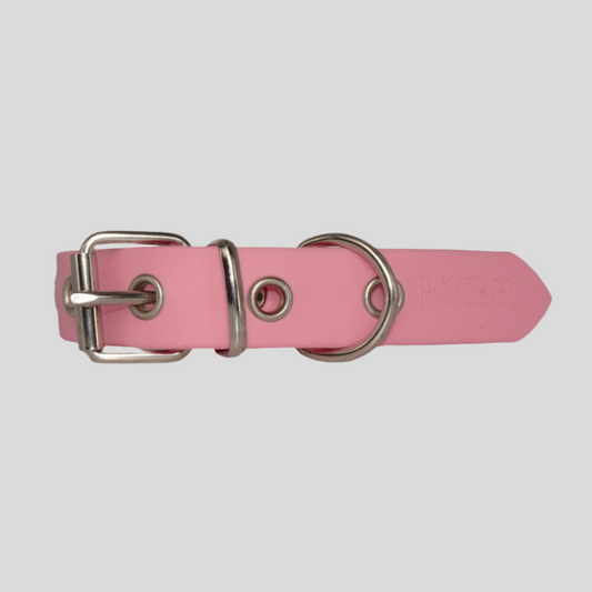 Sweet Watermelon Waterproof Dog Collar