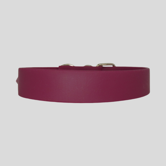 Cranberry Crush Waterproof Dog Collar