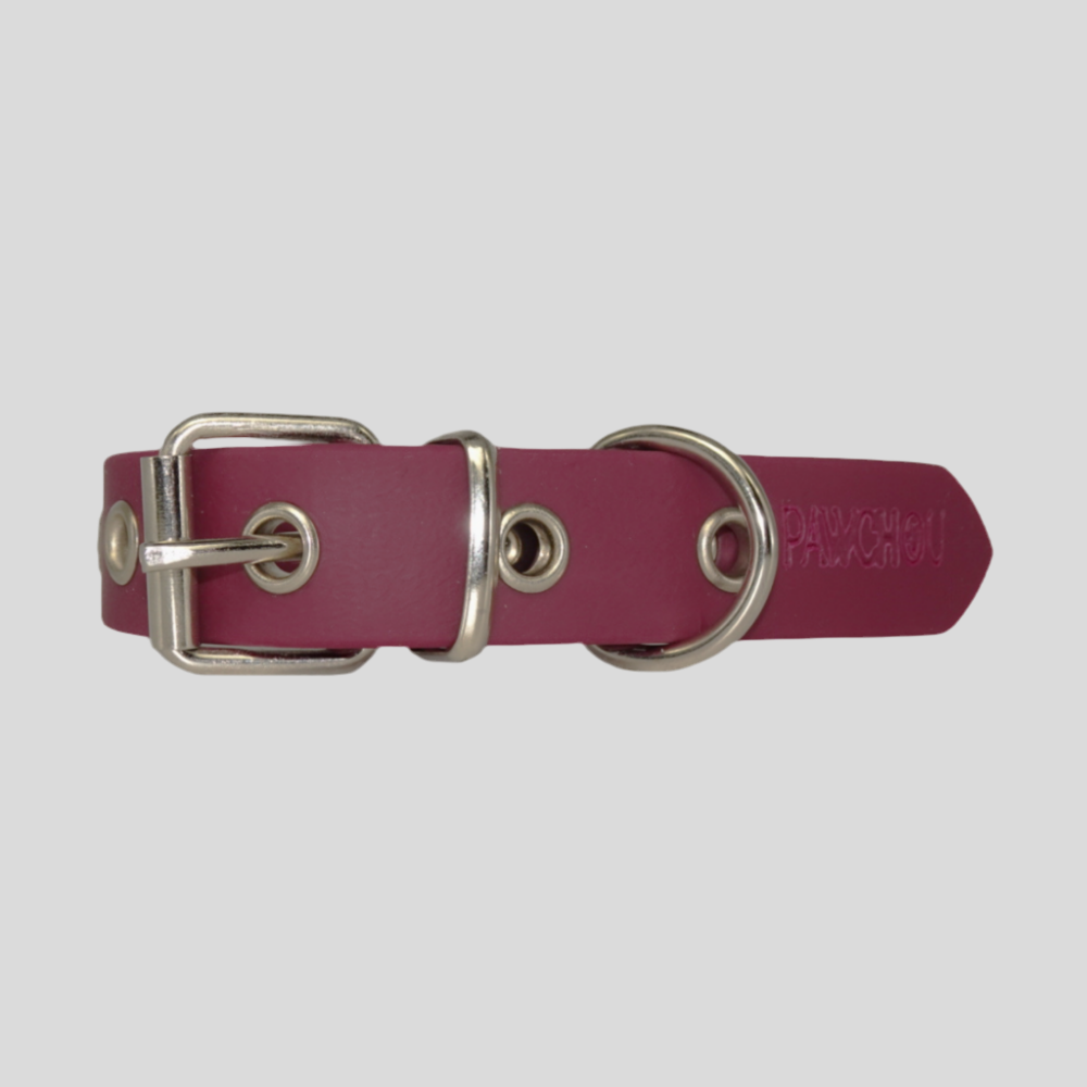 Cranberry Crush Waterproof Dog Collar