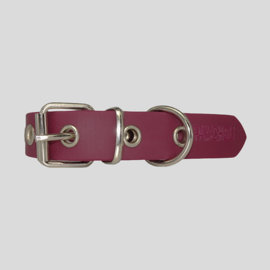 Cranberry Crush Waterproof Dog Collar