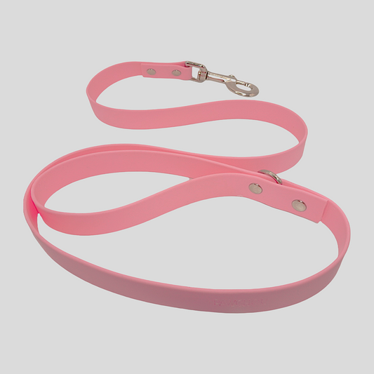 Sweet Watermelon Waterproof Dog Lead