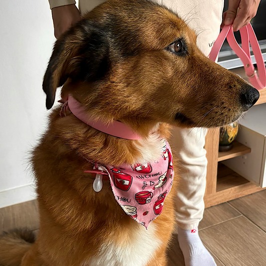 Sweet Watermelon Waterproof Collar & Lead Set