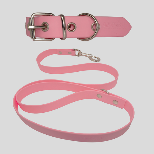 Sweet Watermelon Waterproof Collar & Lead Set