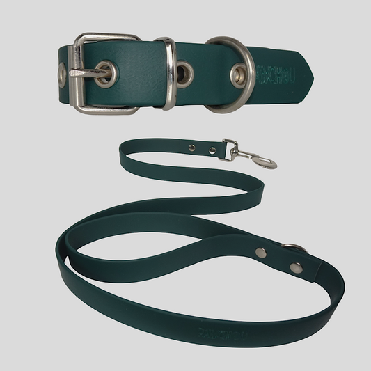 Matcha Dream Waterproof Collar & Lead Set