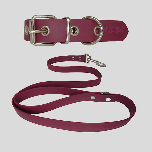 Cranberry Crush Waterproof Collar & Lead Set