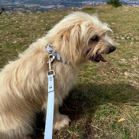 Drew Breeze Waterproof Dog Lead
