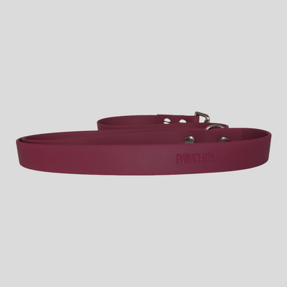 Cranberry Crush Waterproof Collar & Lead Set