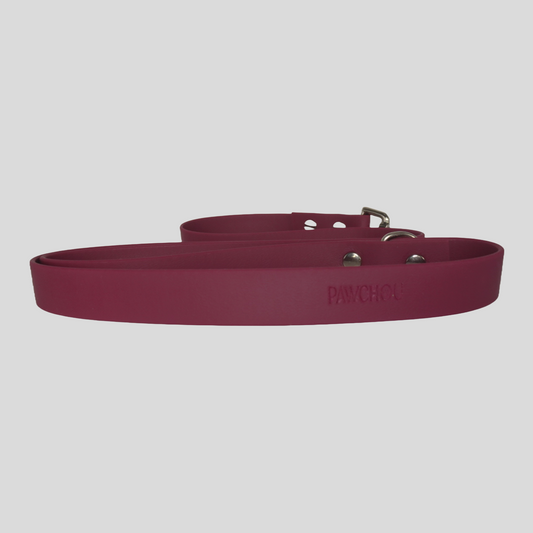 Cranberry Crush Waterproof Collar & Lead Set